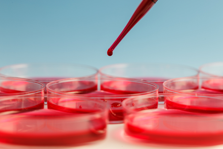 Close up of pipette adding red liquid to Petri dish 
