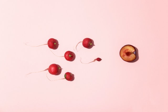 dainis-graveris-VNo560ePOSU-unsplash