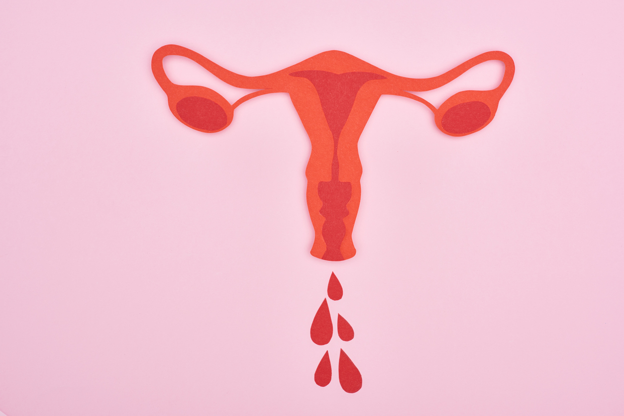 Female reproductive internal organs with blood drops