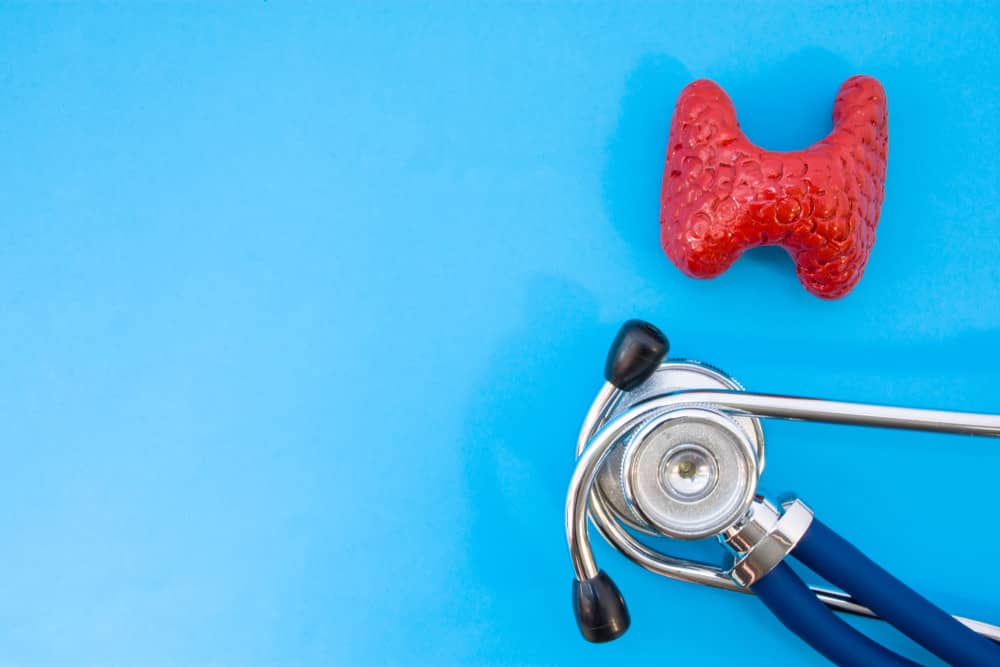 Anatomic study model of thyroid gland and stethoscope on blue background  