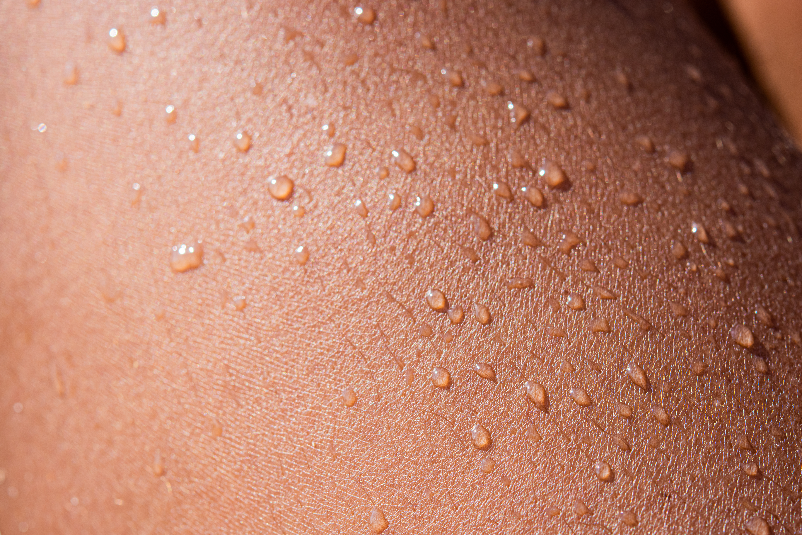 Water drops on a leg, sweat on skin (credit - Erich Karnberger)