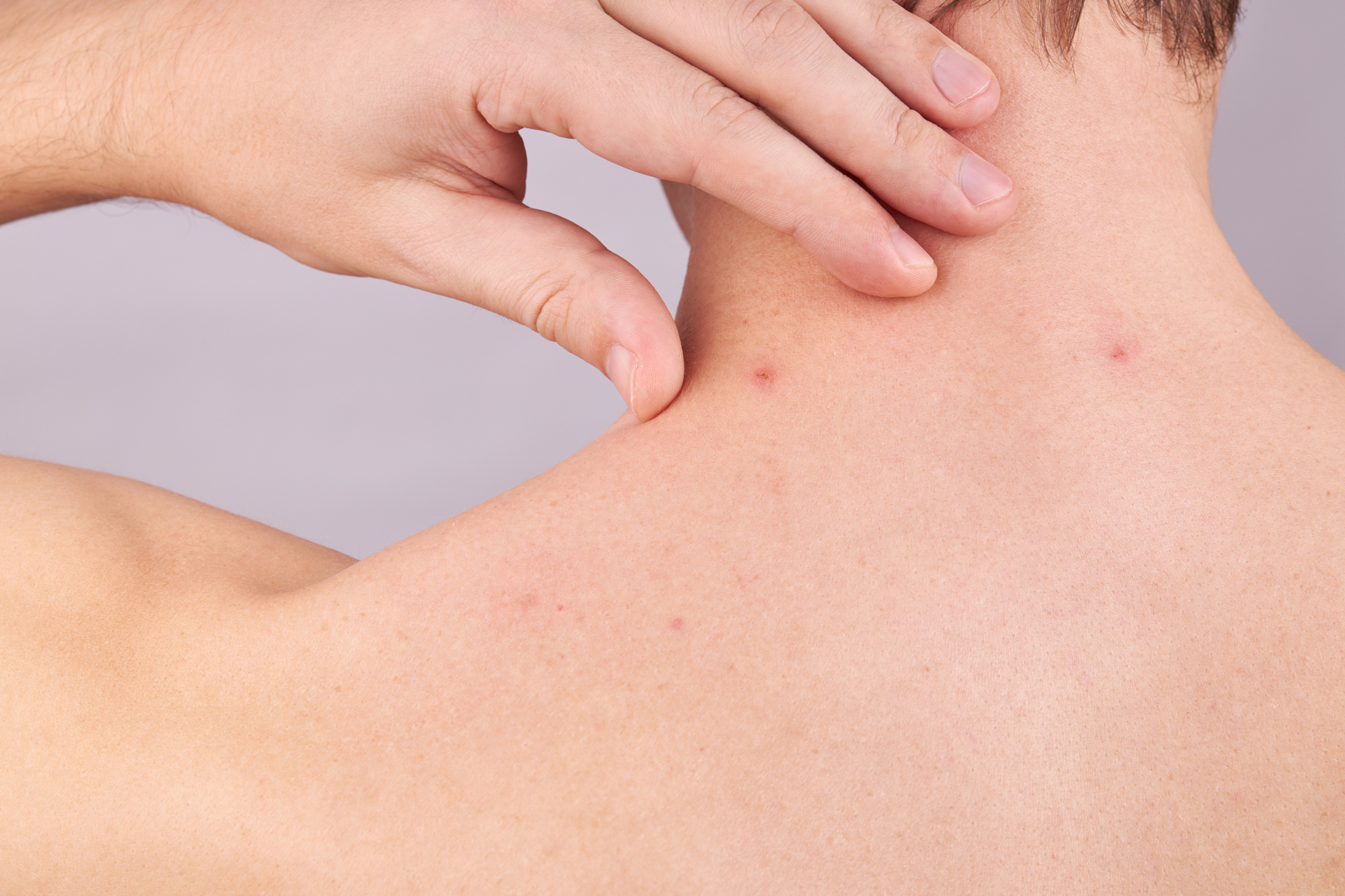 Credit: Andrii Atanov