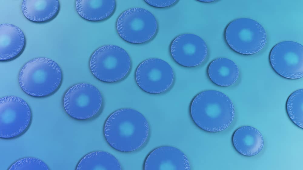 Candida Culture 