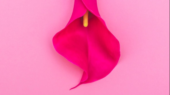 iStock-921681652