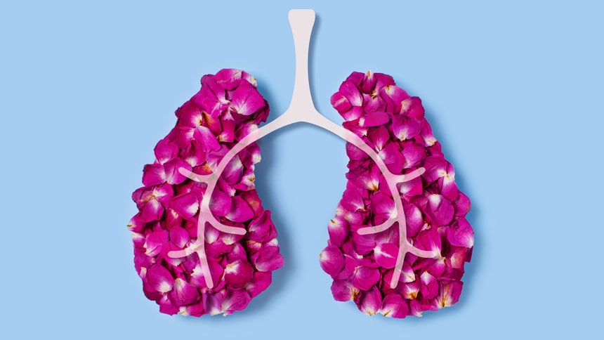 Lungs