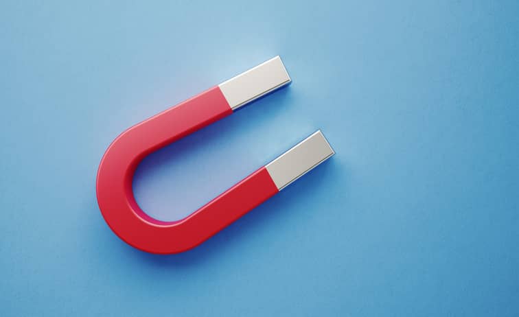 Magnet