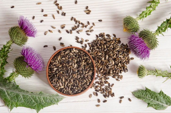 Milk thistle flowers and seeds on wooden table