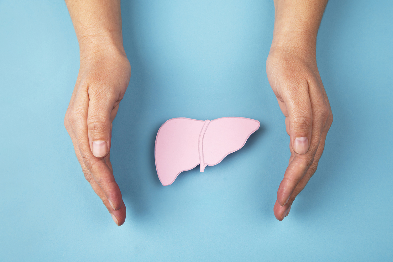 Paper cut out of the liver
