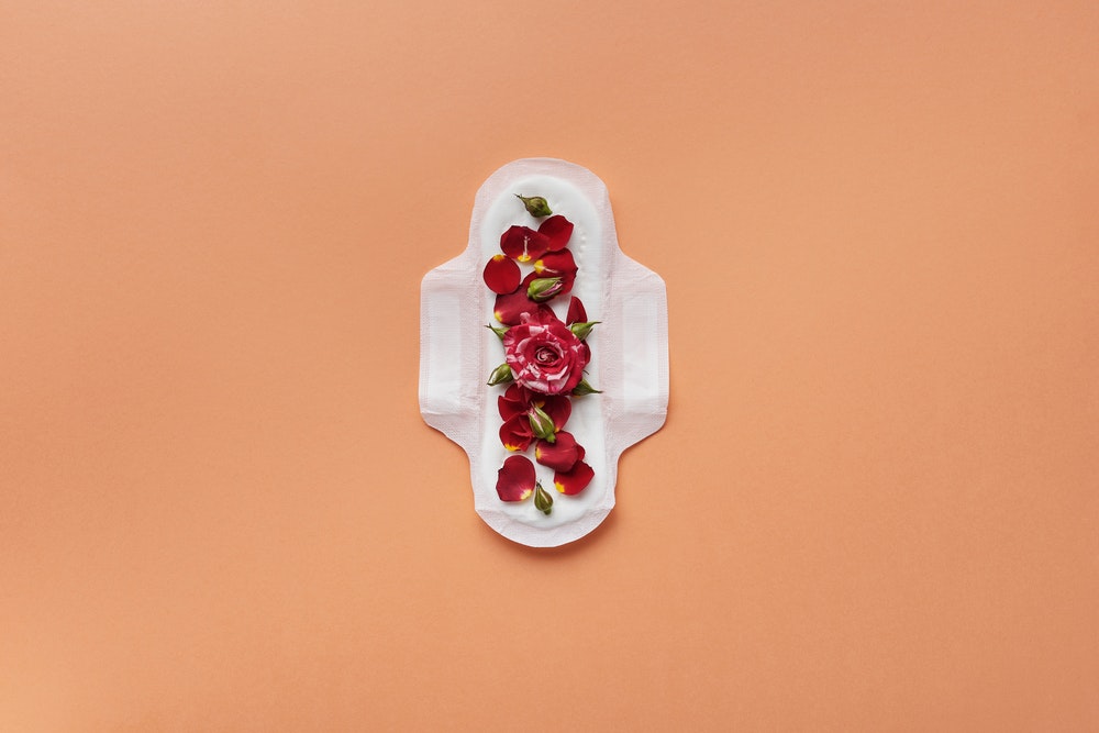 Rose and rose petals on sanitary pad to represent period sex