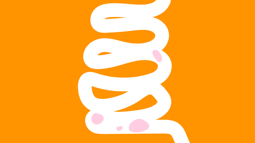 Digestion