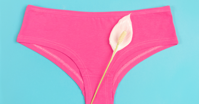 Menopause vaginal dryness